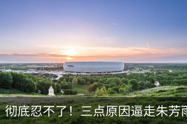 彻底忍不了！三点原因逼走朱芳雨，陈海涛直接让儿子陈浩峰接手宏远总经理